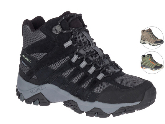 Wandelschoenen Dashen Mid | Heren