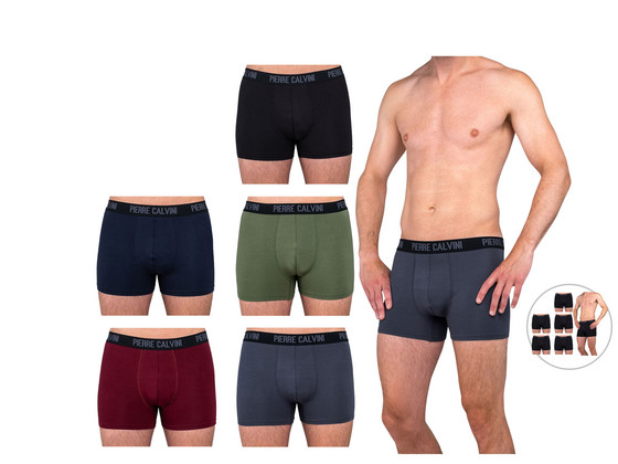 5x Pierre Calvini Bamboo Boxershort