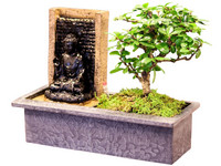 Bonsai mit Wasserfall | Buddha | 30–35 cm