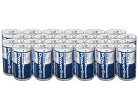 24x Panasonic Alkaline Batterij | D | 1,5V