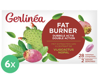 6x Gerlinea Fat Burner | Double Action