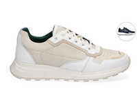 McGregor Sneaker Gregor