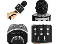 Silvergear Draadloze Karaoke Microfoon