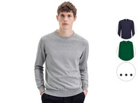 Seidensticker Pullover Ronde Hals