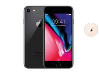 Apple iPhone 8 | 64 GB | Premium (A+)