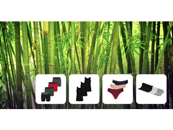 Bamboo Essentials