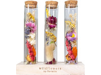 3x Trockenblumen im Glas | 15 cm