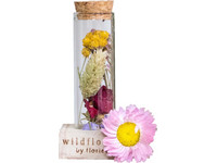 Droogbloemen in Glas | 10 cm