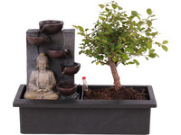 Bonsai met Waterval Buddha | 25 - 30 cm