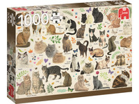 Jumbo Kattenposter 1000 Stukjes