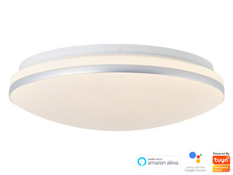 Brilliant Wand- en Plafondlamp Tuya