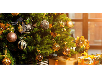 Kerstbomen en versiering