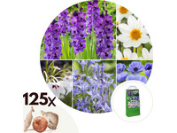 125 Bloembollen | Blauwe of witte bloemen