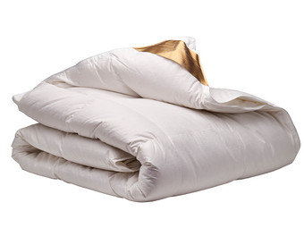 Ten Cate 4-Jahreszeiten-Bettdecke mit 100 % Gänsedaunen | 200 x 200 cm