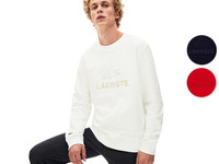 Lacoste Sweater | Baumwollfleece