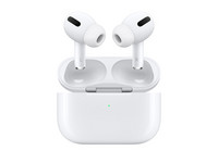 Apple AirPods Pro Ear-Ins