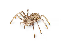 Eco-Wood-Art Spider Houten Modelbouw