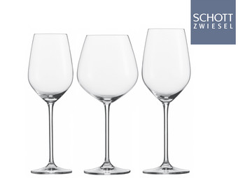 Kieliszek do wina i szampana Schott Zwiesel Fortissimo | 18-częściowy