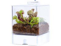 DIY-Terrarium | fleischfressende Pflanzen