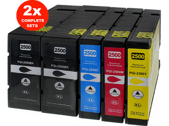 2x Cartridges PGI-2500 | Canon