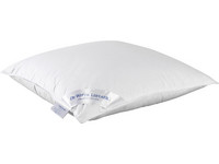 De Witte Lietaer Kussen | 60x60/70 cm | 600 Gsm
